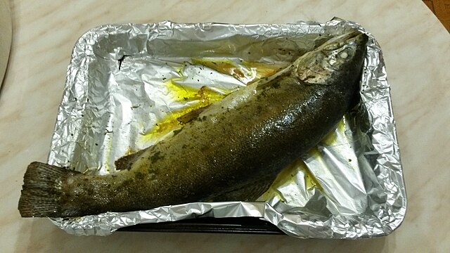 Ishkhan Trout